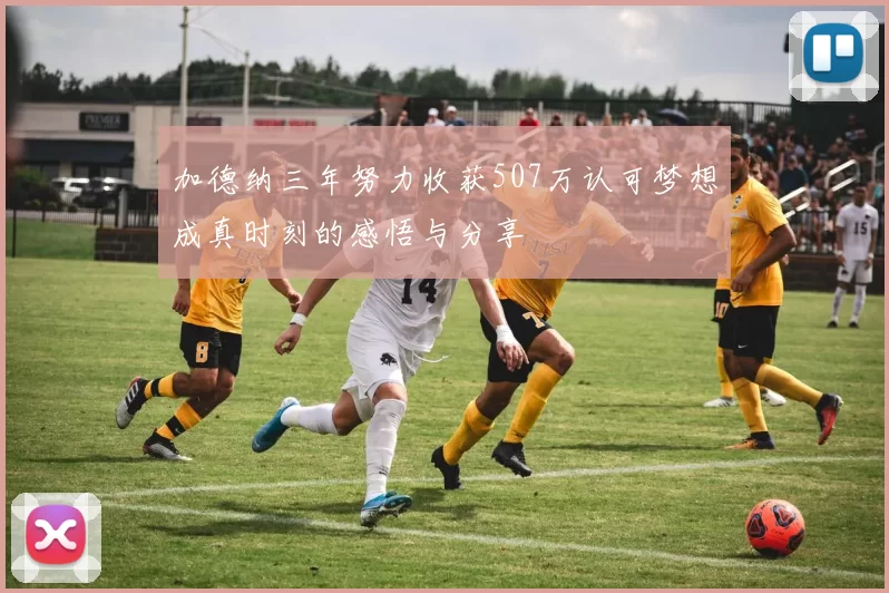 加德纳三年努力收获507万认可梦想成真时刻的感悟与分享